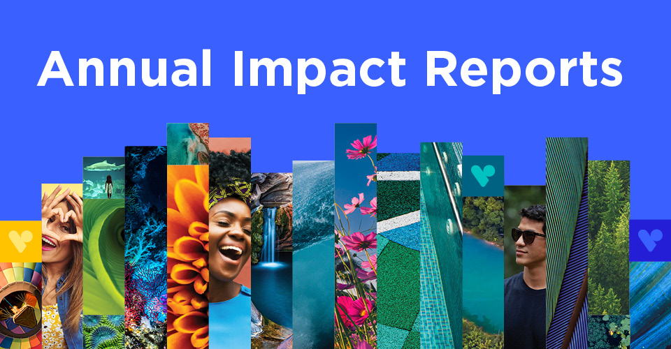 impact reports